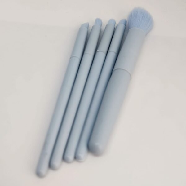 Set x 5 brochas