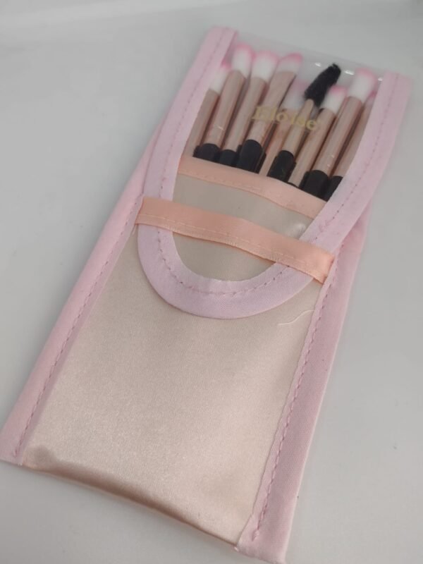 Set x10 brochas con estuche