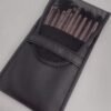 Set x10 brochas con estuche