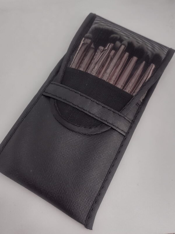 Set x10 brochas con estuche