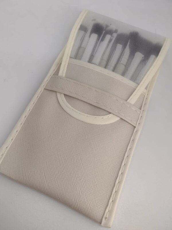 Set x10 brochas con estuche