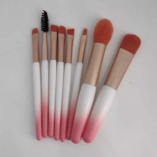 Set x10 brochas de maquillaje